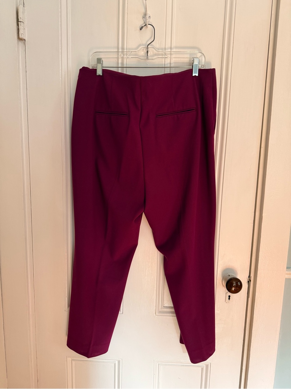 Ann Taylor side zip ankle pants bi-stretch plum burst 16 petite